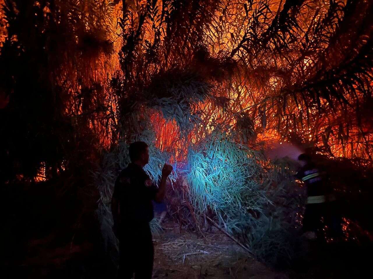 Bodrum’da Peş Peşe Yangınlar: Ekipler Alevlere Karadan Müdahale Etti 4